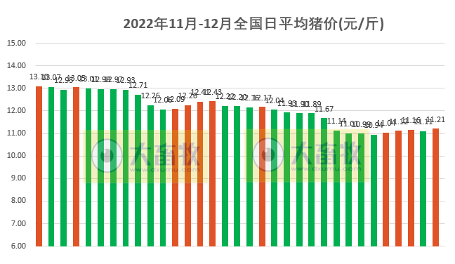 2022.12.03今日猪价