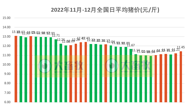 2022.12.04今日猪价