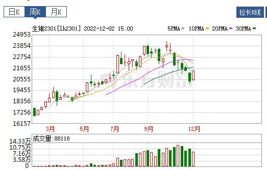 2022.12.04今日猪价