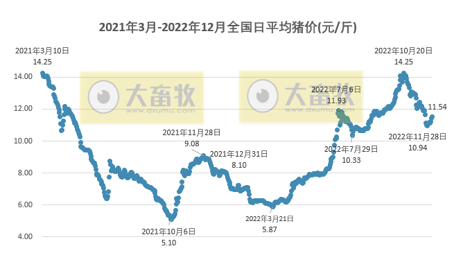 2022.12.05今日猪价