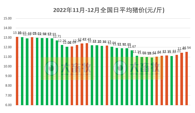 2022.12.05今日猪价