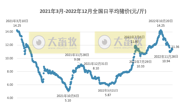 2022.12.06今日猪价