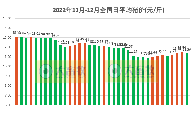 2022.12.06今日猪价