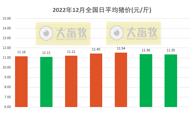 2022.12.07今日猪价