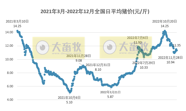 2022.12.07今日猪价