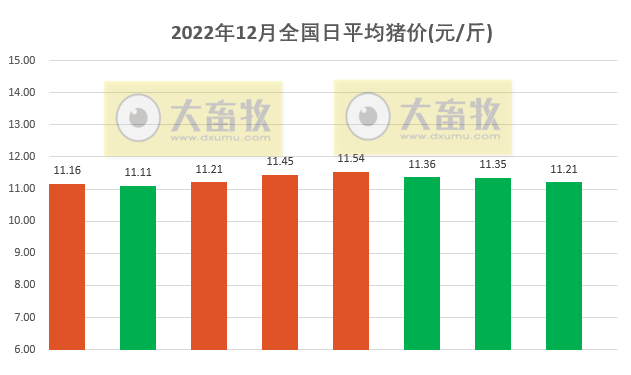 2022.12.08今日猪价