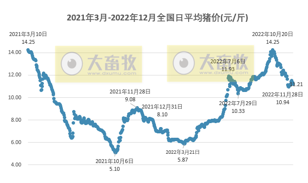2022.12.08今日猪价