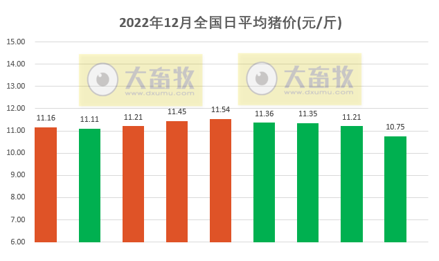 2022.12.09今日猪价