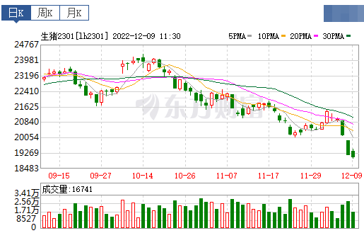 2022.12.09今日猪价