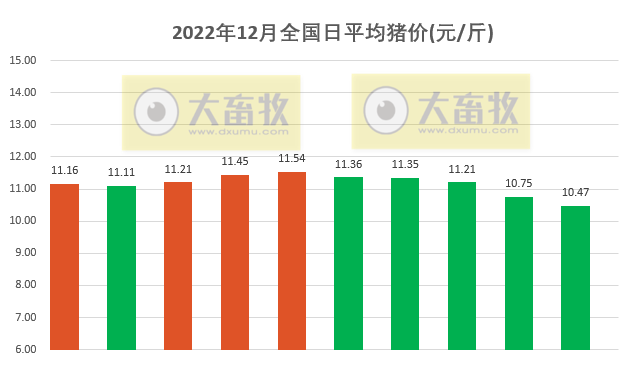 2022.12.10今日猪价