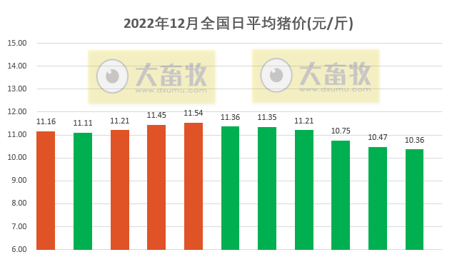 2022.12.11今日猪价