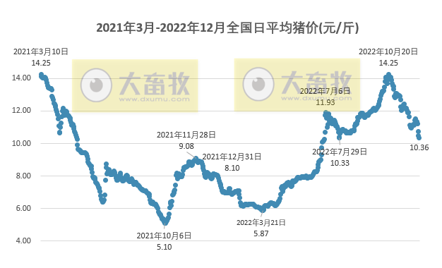 2022.12.11今日猪价