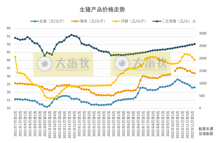 本周猪价短暂反弹后下跌，预计下周继续放量，不要过度看好后期行情
