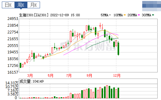 2022.12.11今日猪价