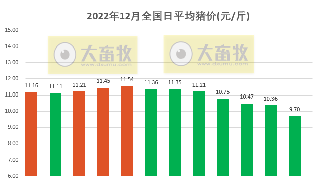 2022.12.12今日猪价
