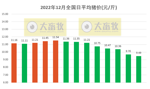2022.12.13今日猪价