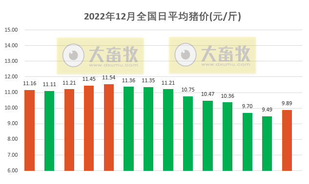 2022.12.14今日猪价，止跌反弹