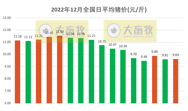 2022.12.16今日猪价