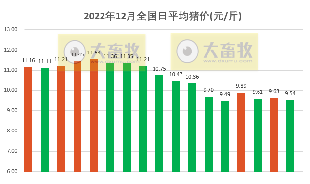 2022.12.17今日猪价
