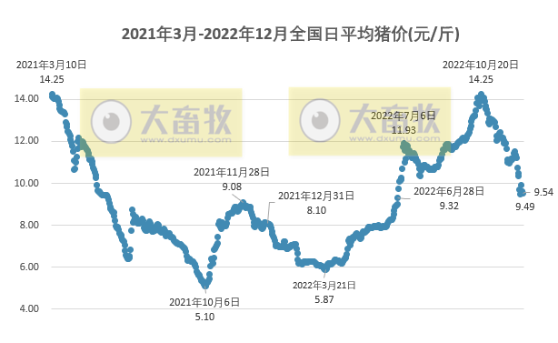 2022.12.17今日猪价