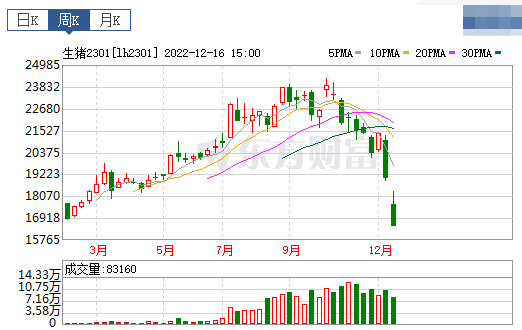 2022.12.18今日猪价