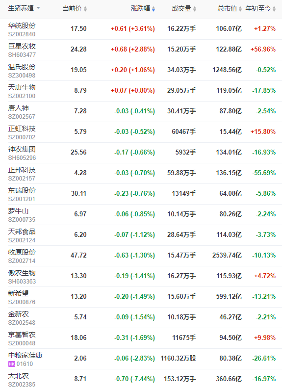 2022.12.19今日猪价
