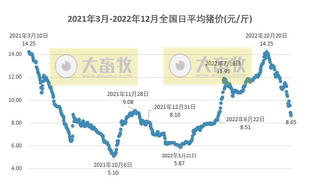 2022.12.20今日猪价