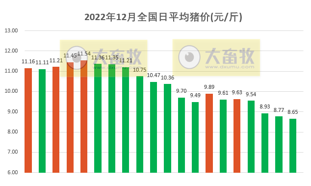 2022.12.20今日猪价
