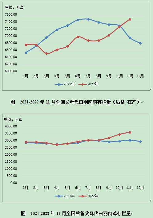 数据分析 | 白羽肉种鸡生产监测分析报告（2022年11月）