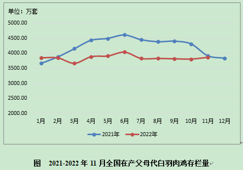 数据分析 | 白羽肉种鸡生产监测分析报告（2022年11月）