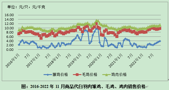 数据分析 | 白羽肉种鸡生产监测分析报告（2022年11月）