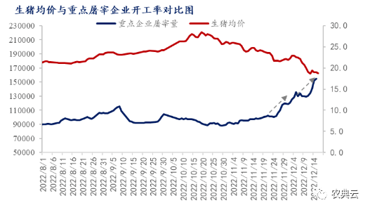 猪价重回8元区间！国家发改委：预计短期猪价仍有走低可能，生猪预期盈利将继续缩水