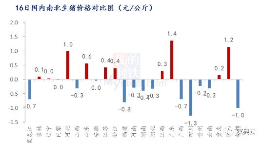 猪价重回8元区间！国家发改委：预计短期猪价仍有走低可能，生猪预期盈利将继续缩水