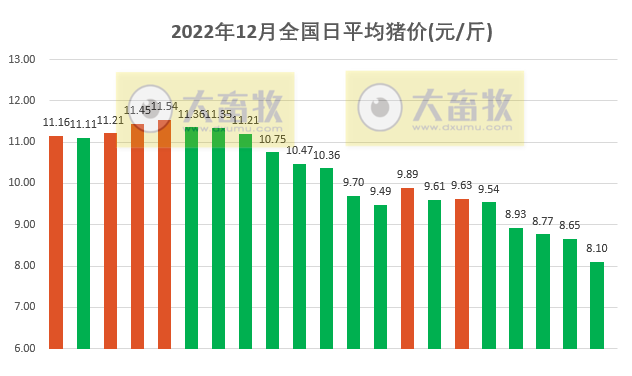 2022.12.21今日猪价,东北已跌破7元