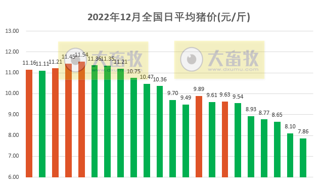 2022.12.22今日猪价