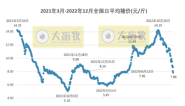 2022.12.22今日猪价