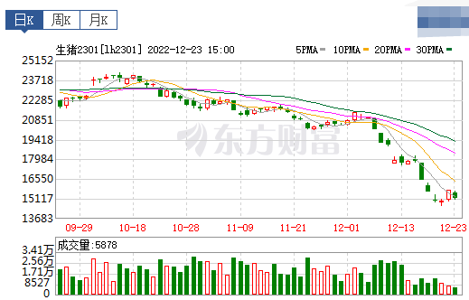 2022.12.24今日猪价