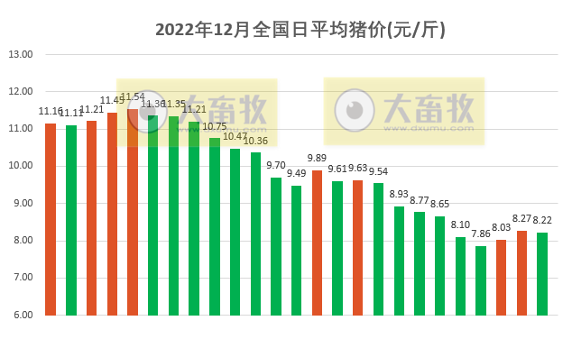 2022.12.25今日猪价