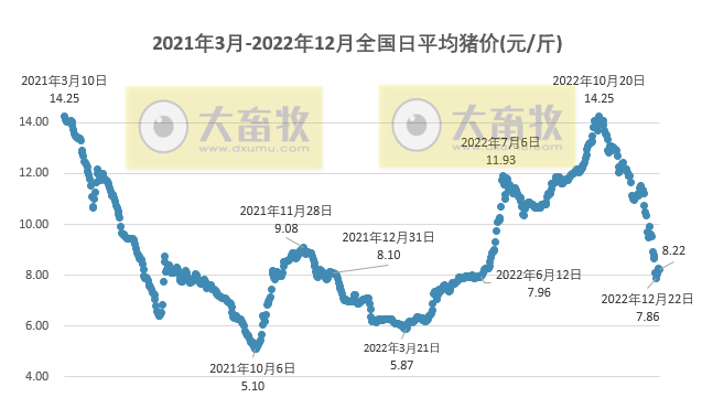 2022.12.25今日猪价