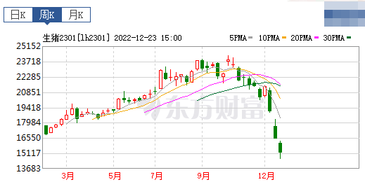 2022.12.25今日猪价