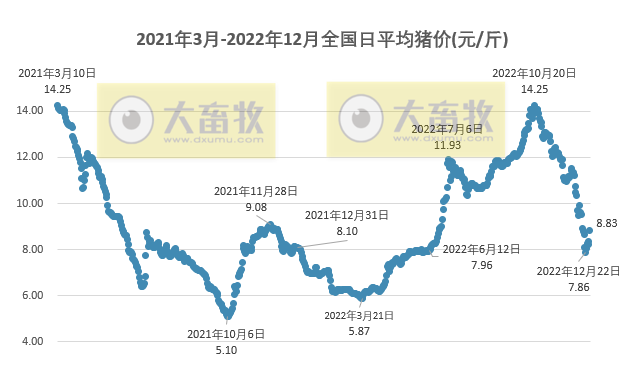 2022.12.27今日猪价