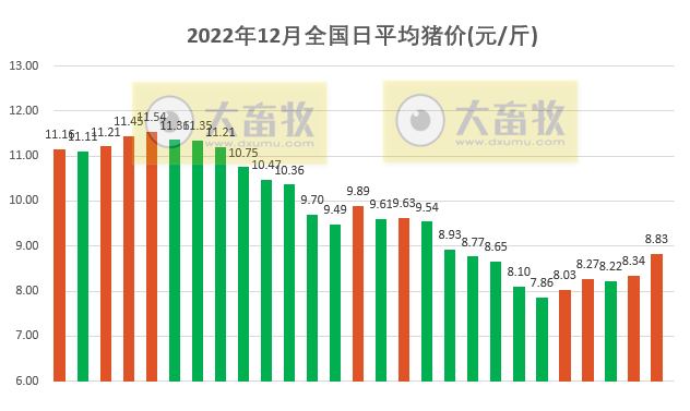 2022.12.27今日猪价