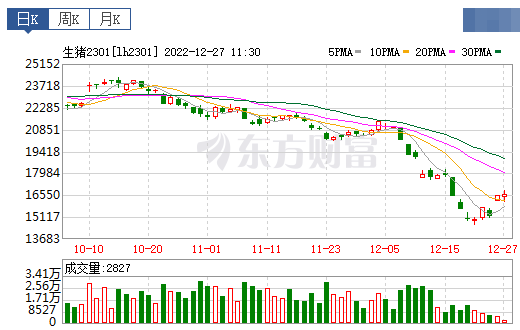 2022.12.27今日猪价