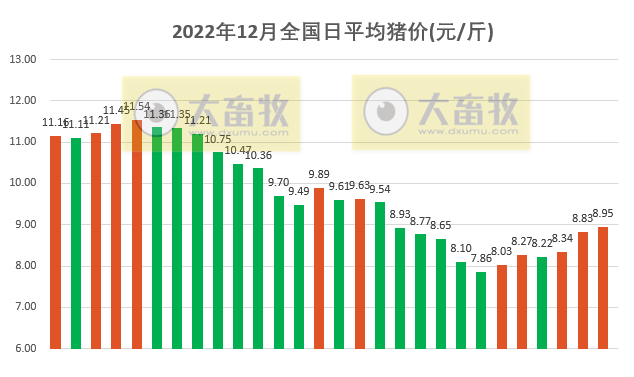 2022.12.28今日猪价