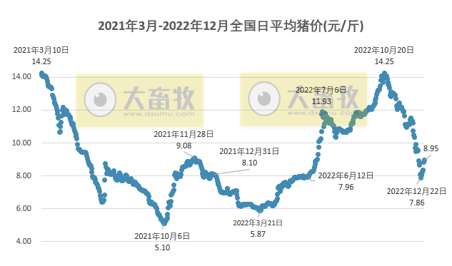 2022.12.28今日猪价