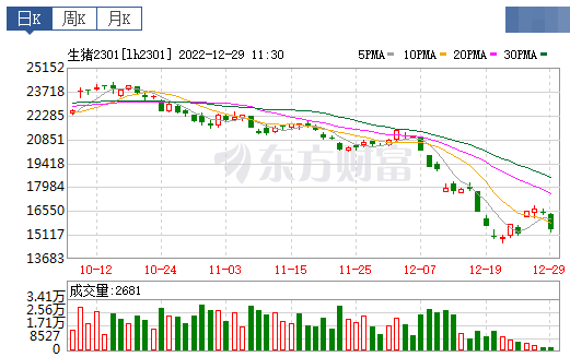 2022.12.29今日猪价