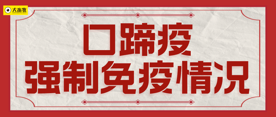 2022年各省区口蹄疫强制免疫情况