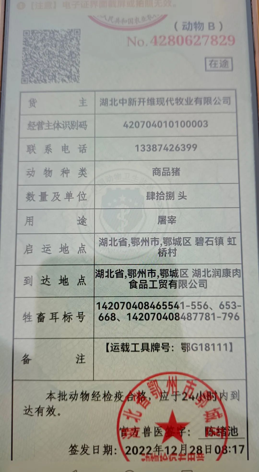 世界最高楼房养猪场——湖北中新开维现代牧业首批金猪隆重上市