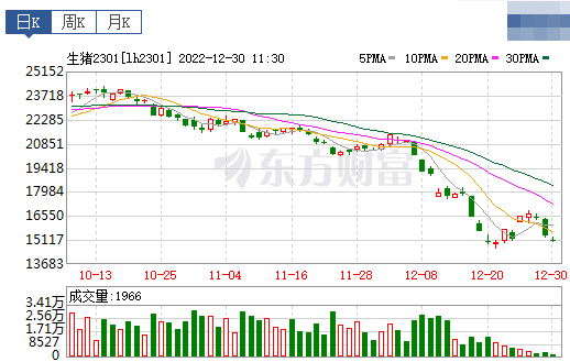2022.12.30今日猪价