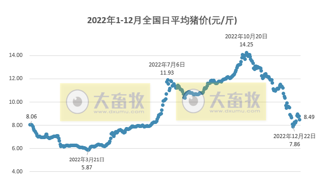 2022.12.31今日猪价